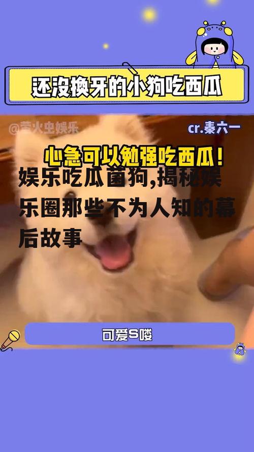 娱乐吃瓜菌狗,揭秘娱乐圈那些不为人知的幕后故事