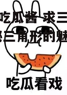 娱乐吃瓜酱 求三角形,揭秘三角形的魅力与奥秘
