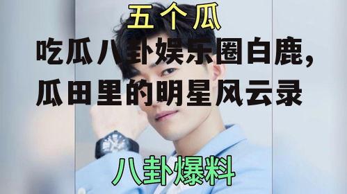 吃瓜八卦娱乐圈白鹿,瓜田里的明星风云录