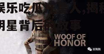 娱乐吃瓜汪星人,揭秘明星背后的故事