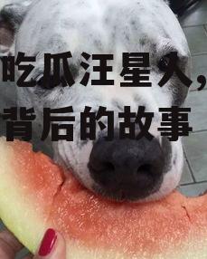 娱乐吃瓜汪星人,揭秘明星背后的故事