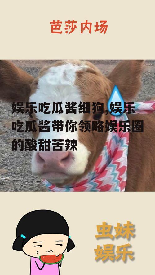 娱乐吃瓜酱细狗,娱乐吃瓜酱带你领略娱乐圈的酸甜苦辣