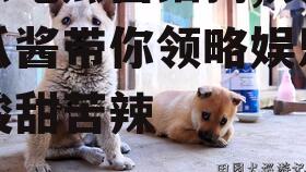 娱乐吃瓜酱细狗,娱乐吃瓜酱带你领略娱乐圈的酸甜苦辣