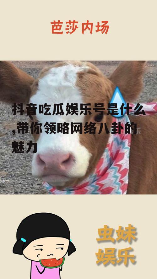 抖音吃瓜娱乐号是什么,带你领略网络八卦的魅力